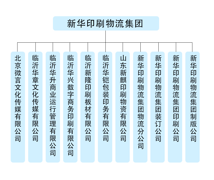 组织结构