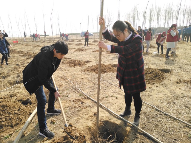 临沂新华参加义务植树活动 第 7 张 临沂新华参加义务植树活动 第 7 张